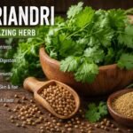 Koriandri