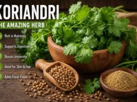 Koriandri