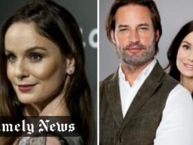 Who Is Josh Winterhalt? Meet Sarah Wayne Callies’ Husband