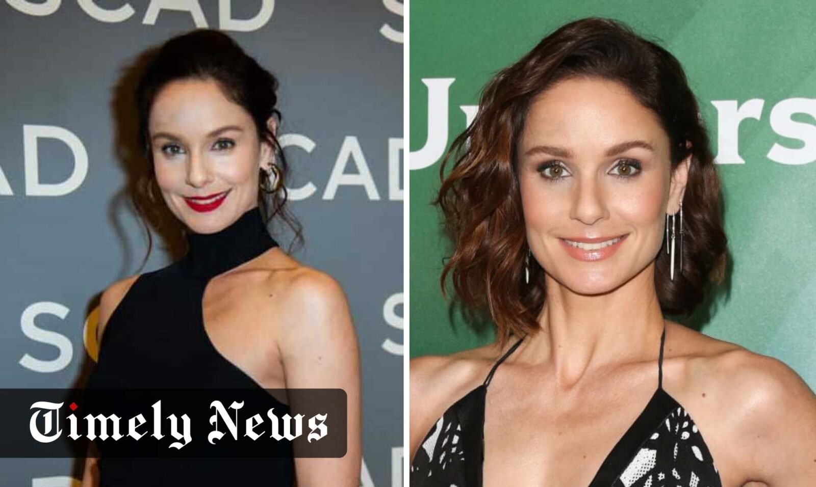Sarah Wayne Callies Net Worth