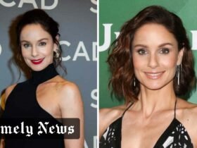 Sarah Wayne Callies Net Worth