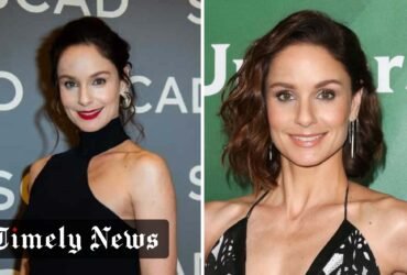 Sarah Wayne Callies Net Worth