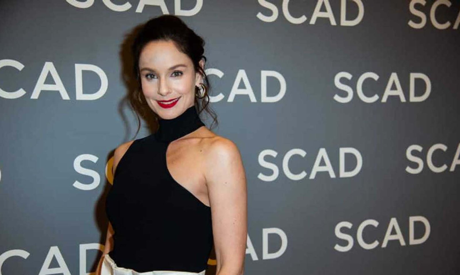 Sarah Wayne Callies and Prison Break Success