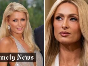 Paris Hilton Net Worth: How She Built a $400 Million Fortune