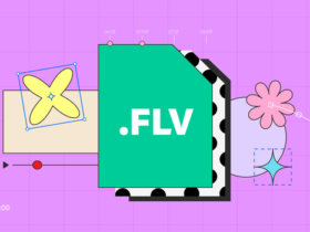 What Are FLV Files and How Do You Open Them
