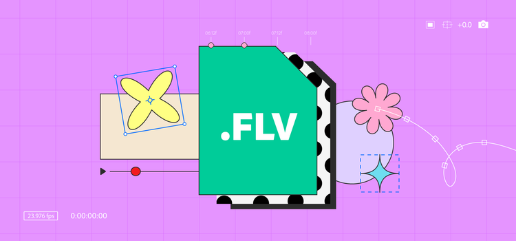 What Are FLV Files and How Do You Open Them