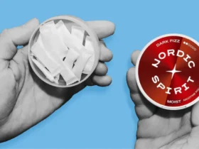 How to Use Nordic Spirit Nicotine Pouches Correctly for the Best Experience