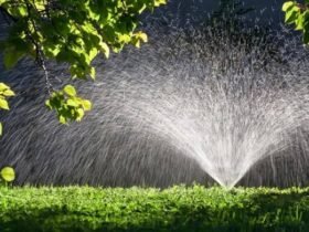 Irrigation Systems for Efficient Water Management and Healthy Landscapes
