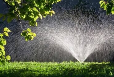 Irrigation Systems for Efficient Water Management and Healthy Landscapes