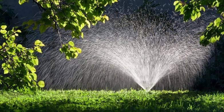 Irrigation Systems for Efficient Water Management and Healthy Landscapes