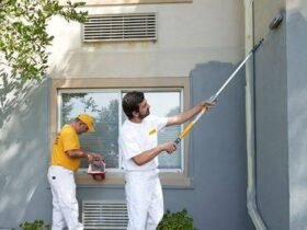 Transforming Properties with Professional Exterior Painting and Lasting Protection